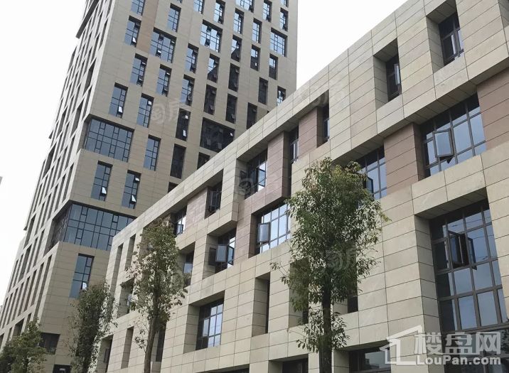 碧桂园·KCC·云南映象实景图