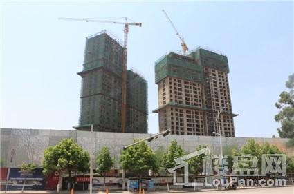 实景图