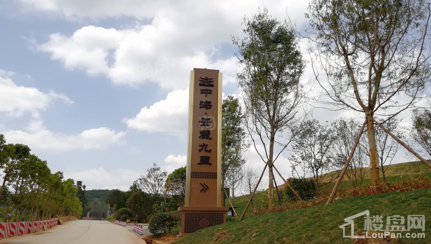 实景图