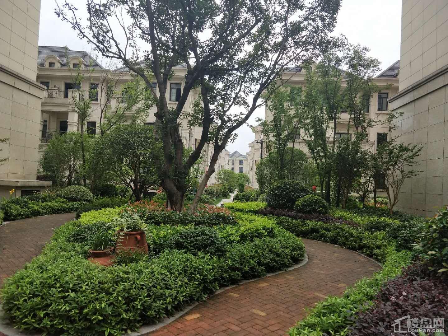 御亭山实景图