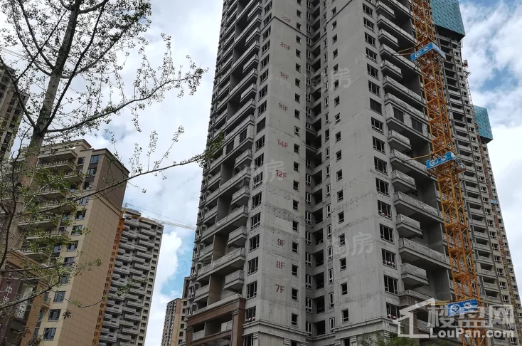 中海龙泉公馆实景图