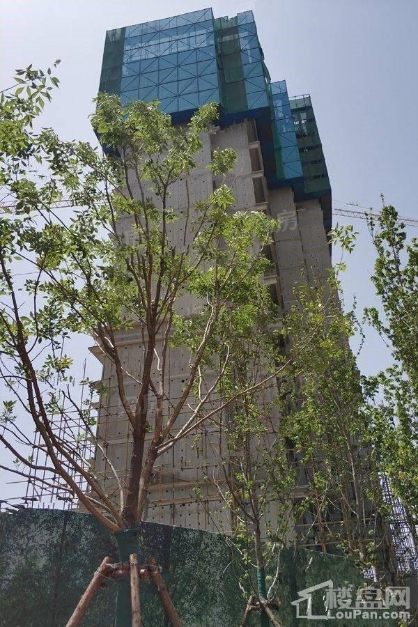 秦皇岛恒大悦府实景图