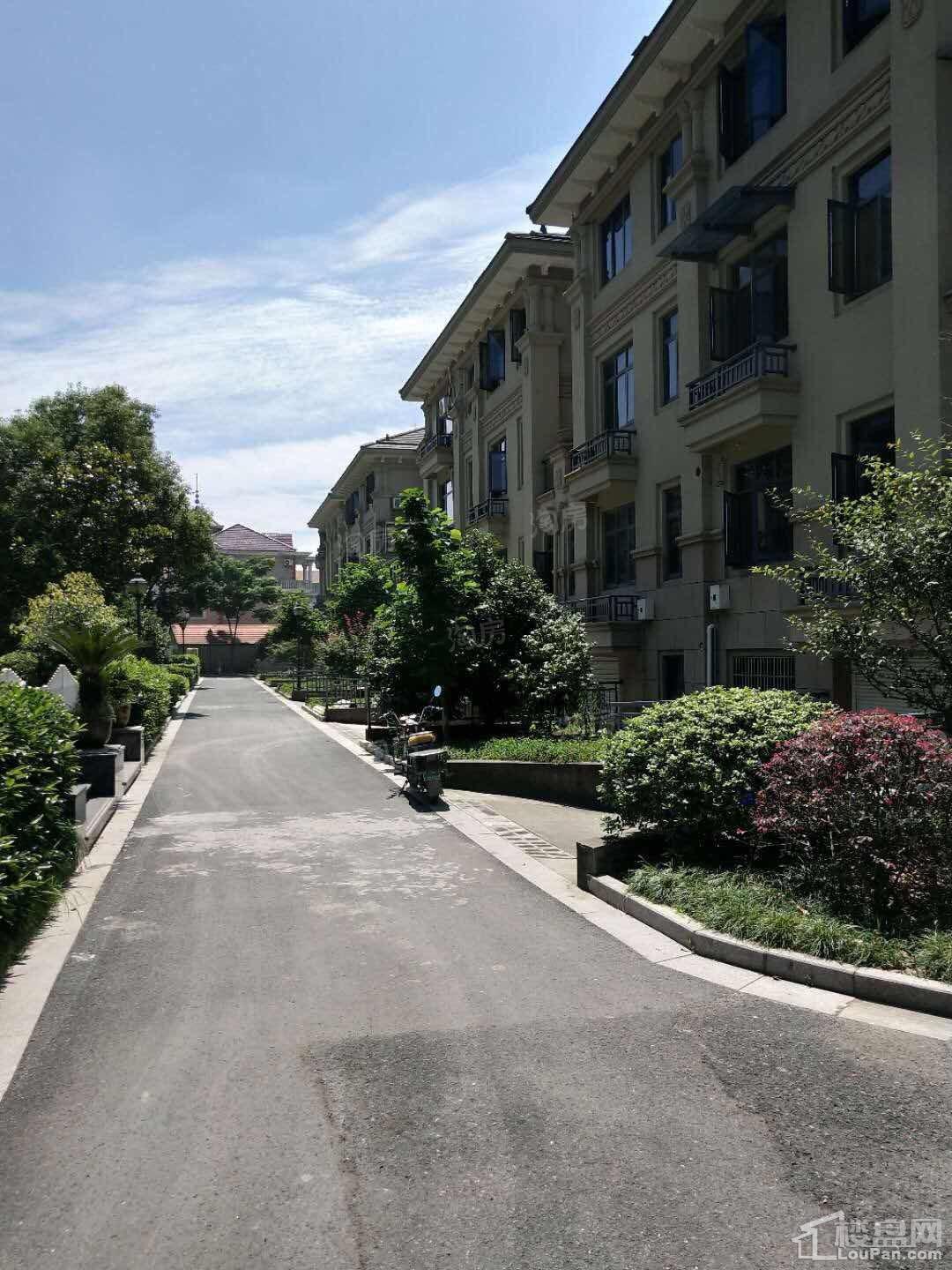 成发豪庭实景图