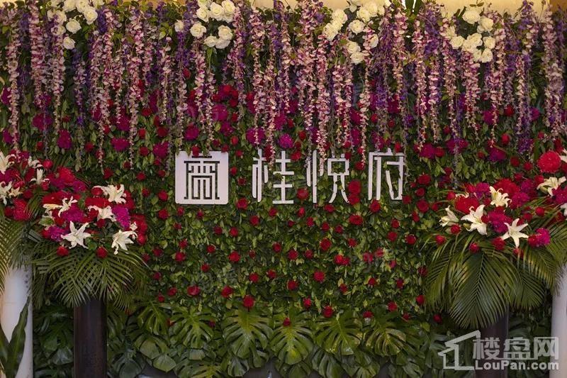 合创•桂悦府效果图