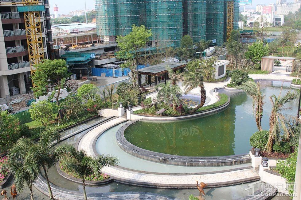 实景图
