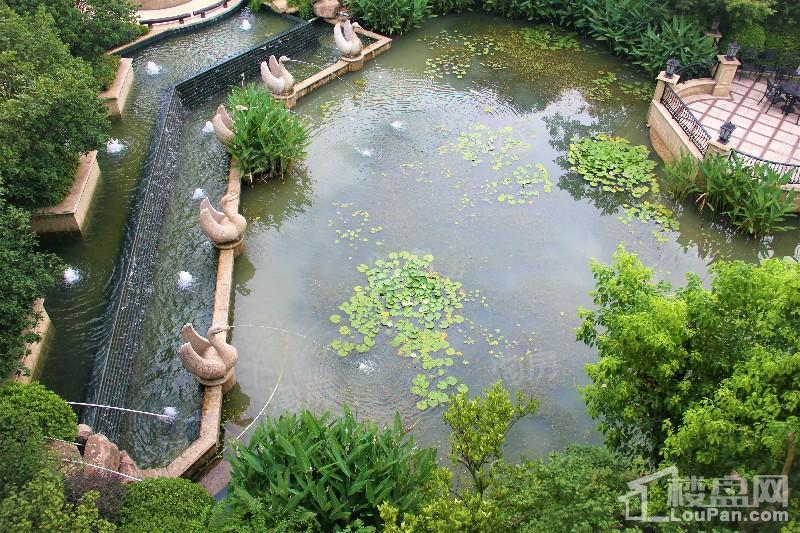 龙湖美墅实景图
