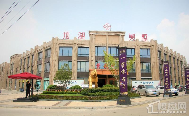 龙湖美墅实景图