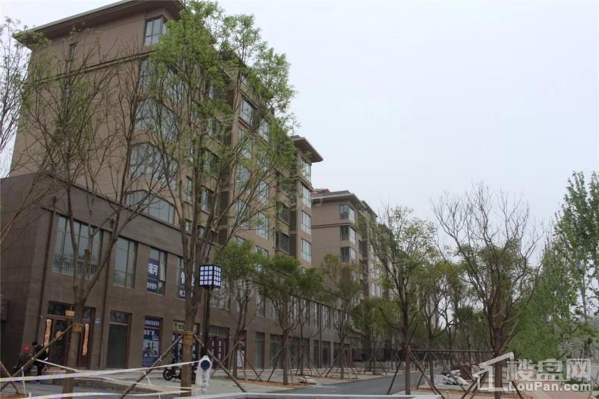 山海壹号实景图
