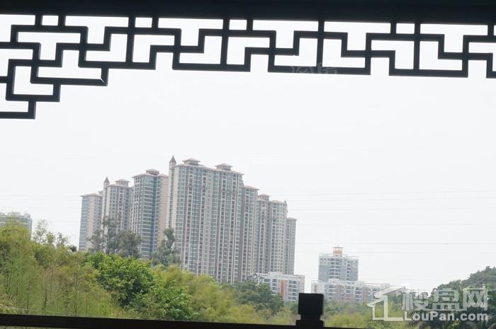 奥园园著配套图