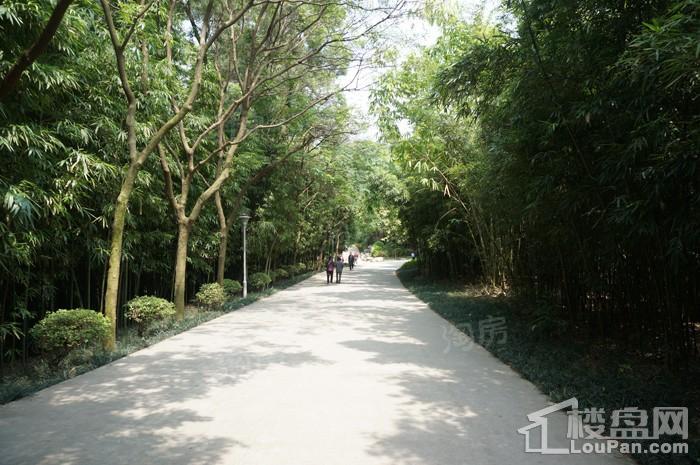 奥园园著配套图