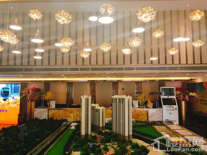 奥园园著实景图