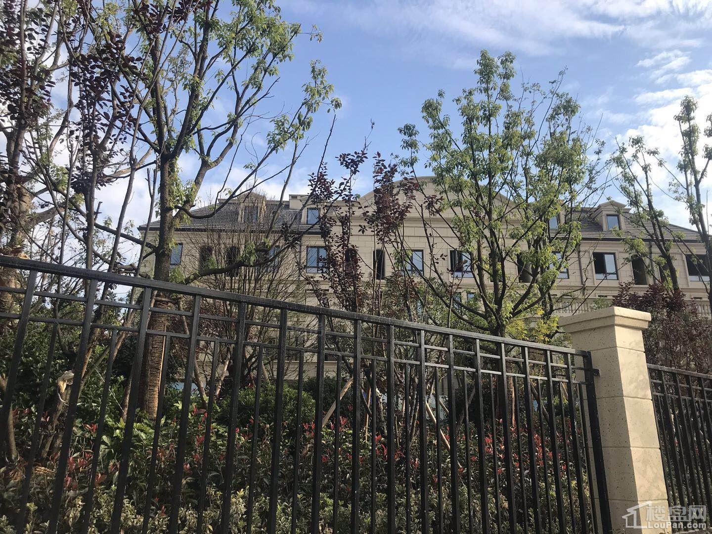 华都龙山庄园实景图