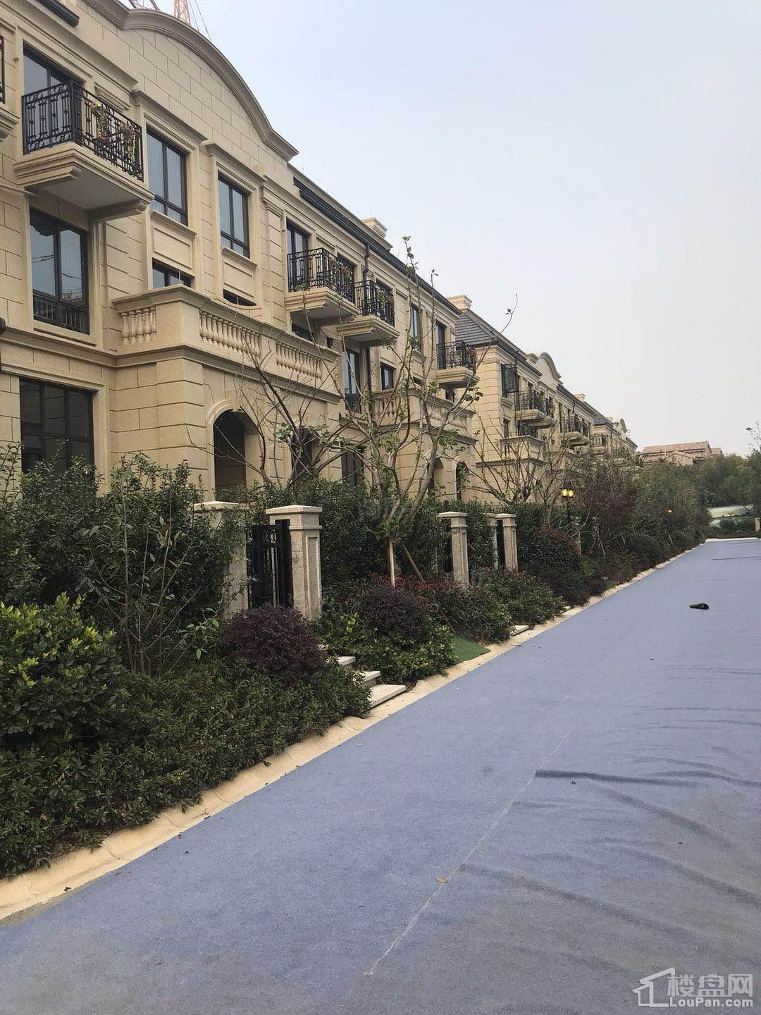 华都龙山庄园实景图