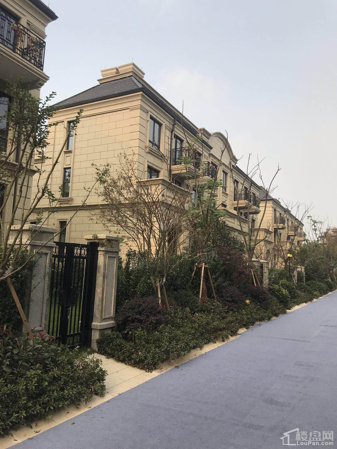 华都龙山庄园实景图