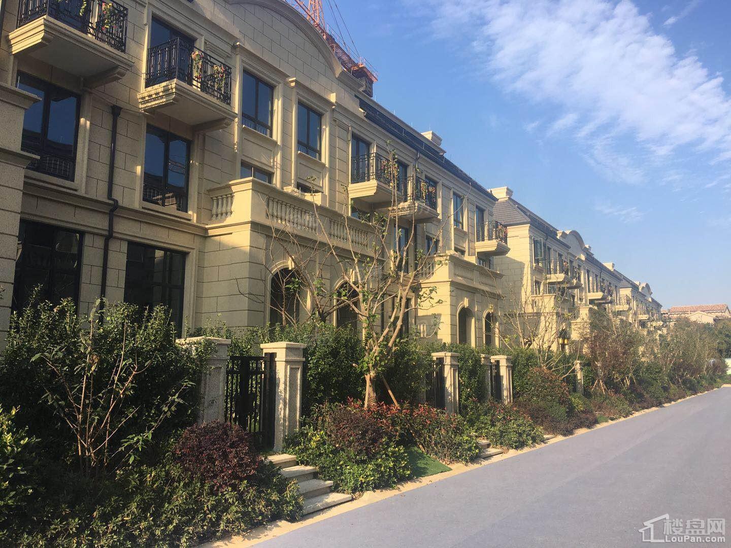 华都龙山庄园实景图