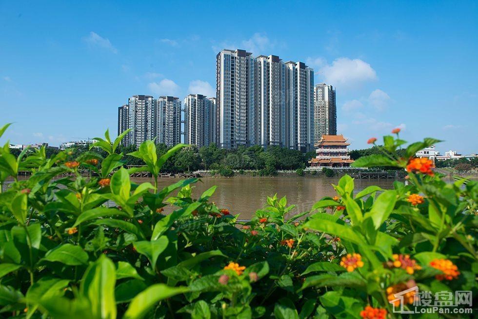 中山龙山华府实景图