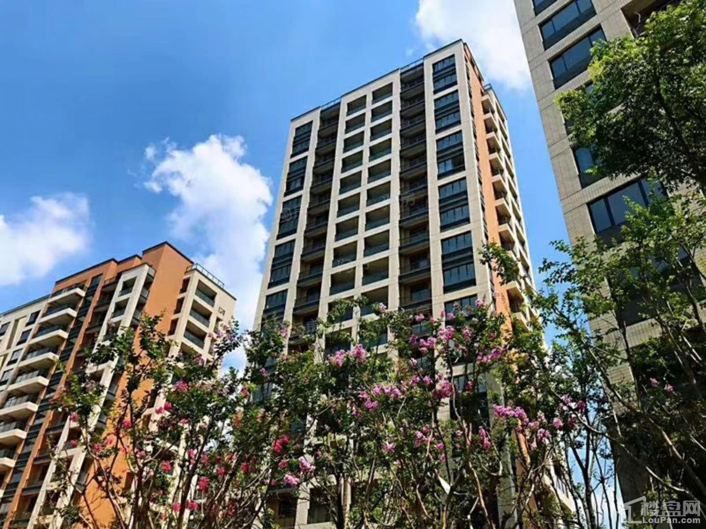 龙山公馆实景图