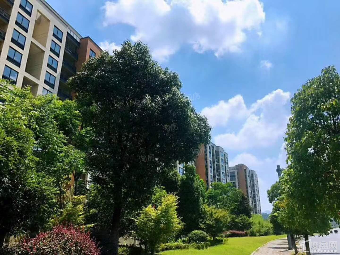 龙山公馆实景图