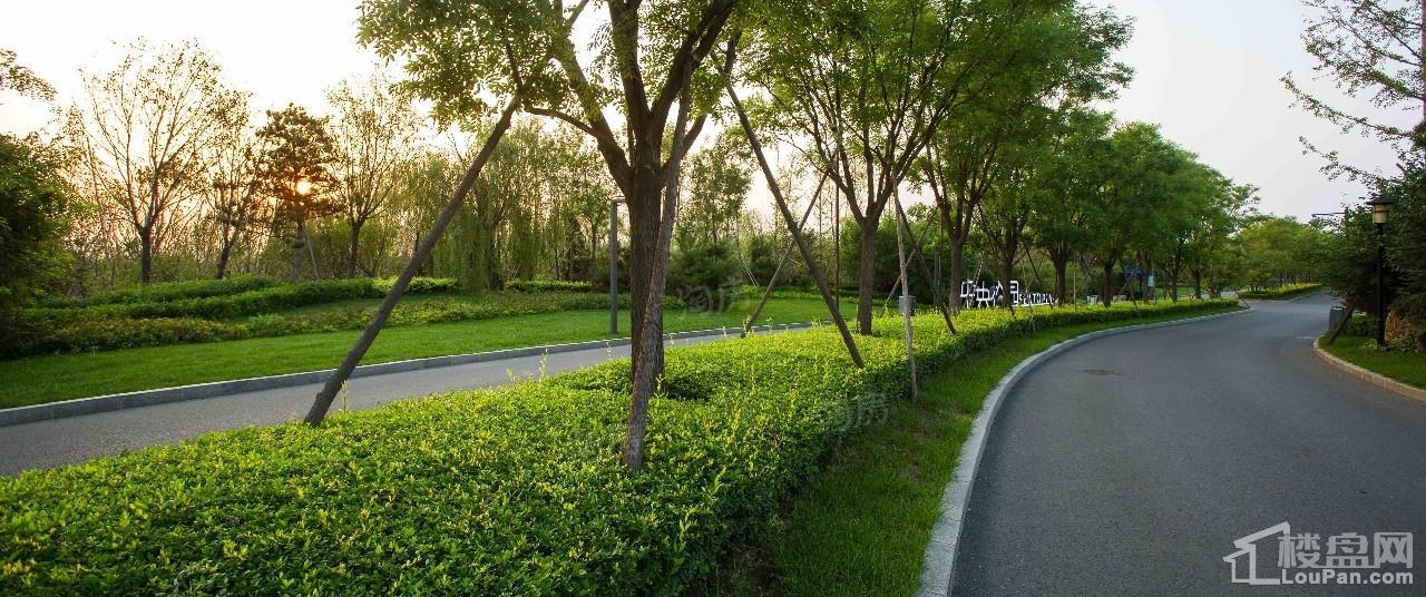 蔚蓝海岸配套图