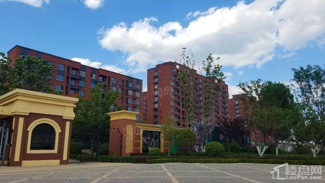 实景图