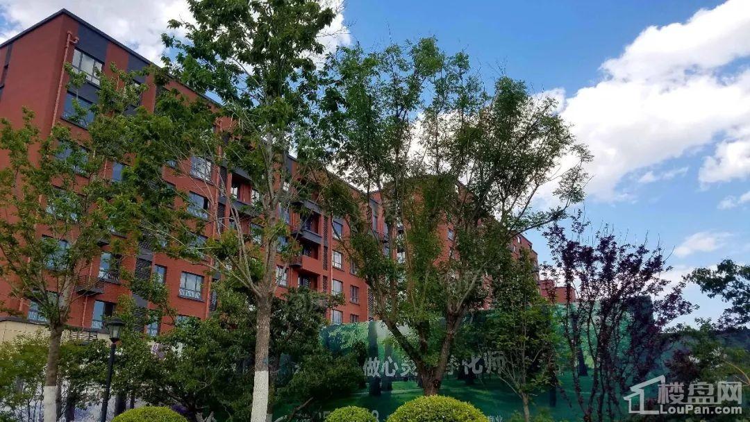 兴龙九里桃源实景图