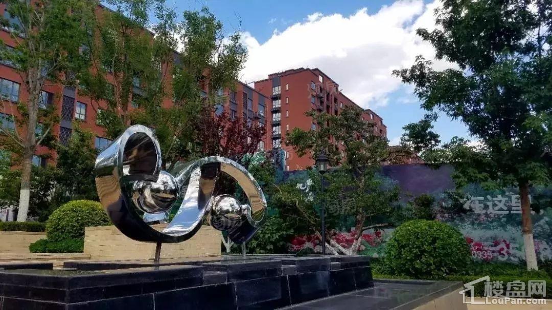 兴龙九里桃源实景图