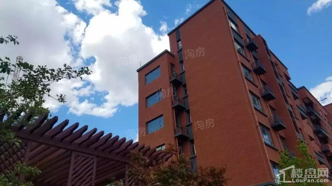 兴龙九里桃源实景图