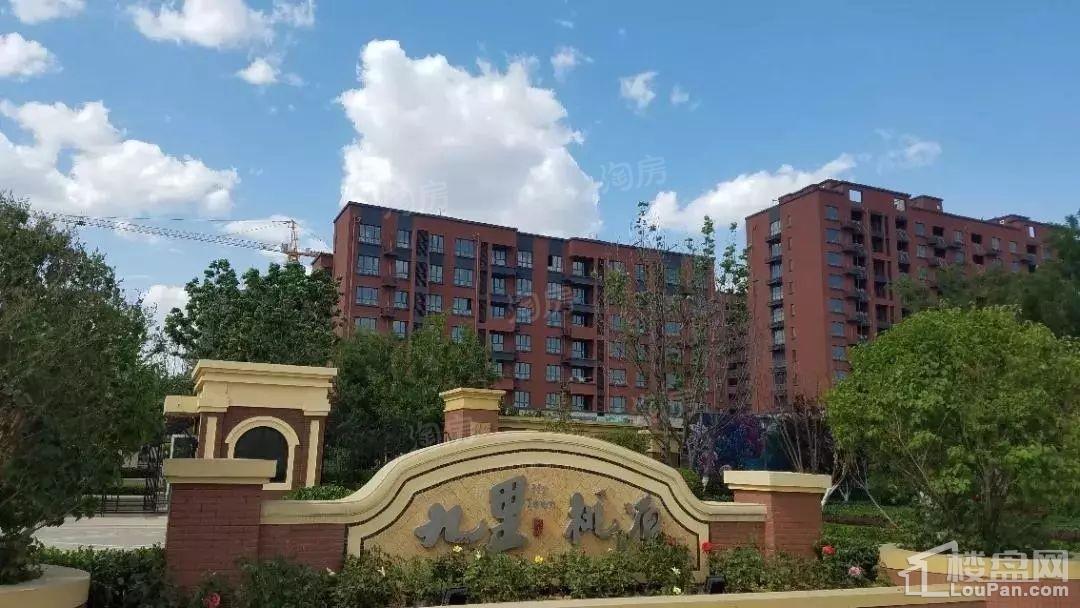 兴龙九里桃源实景图