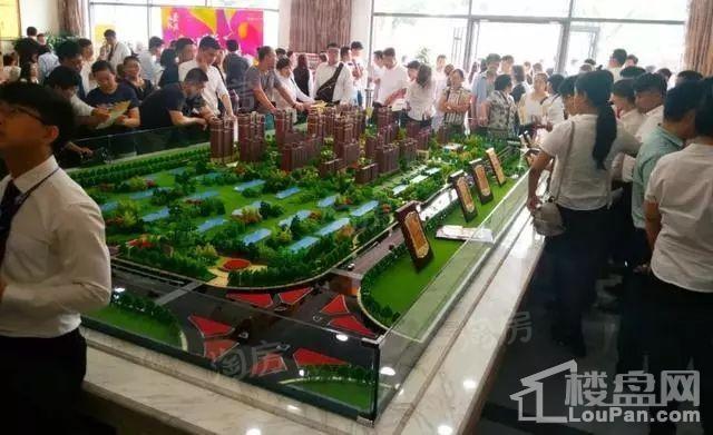 兴龙九里桃源实景图