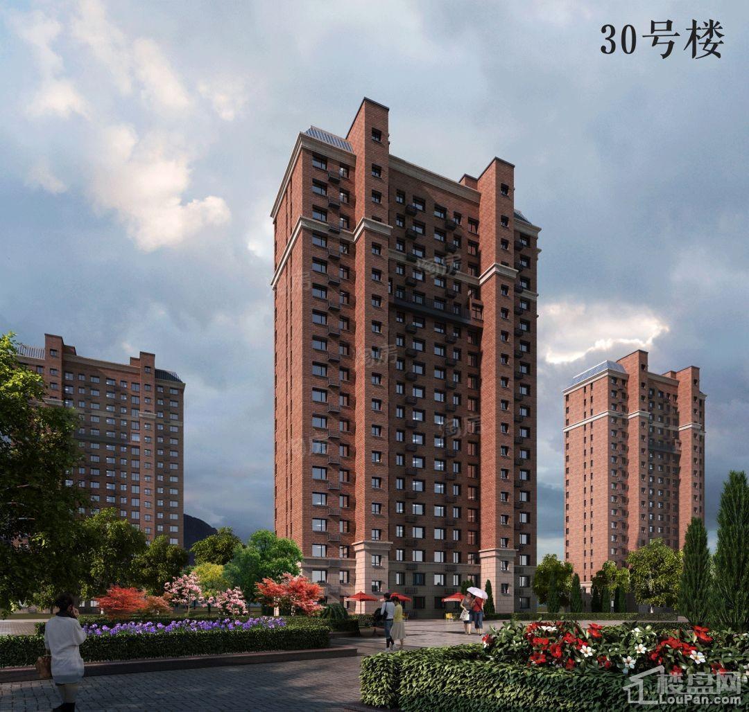 兴龙九里桃源效果图