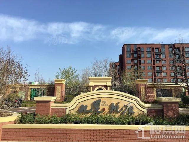 兴龙九里桃源实景图