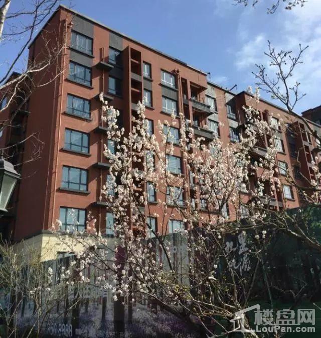 兴龙九里桃源实景图