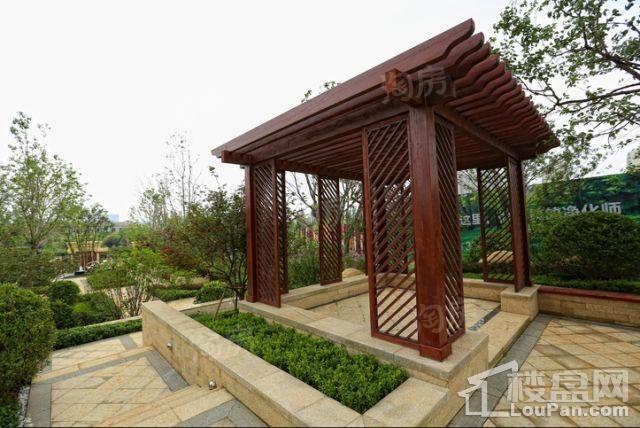 兴龙九里桃源实景图