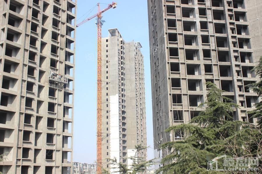 凯润滨湖花园实景图