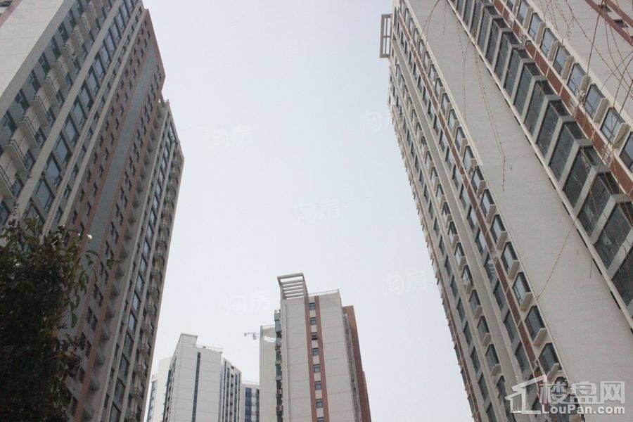 凯润滨湖花园实景图