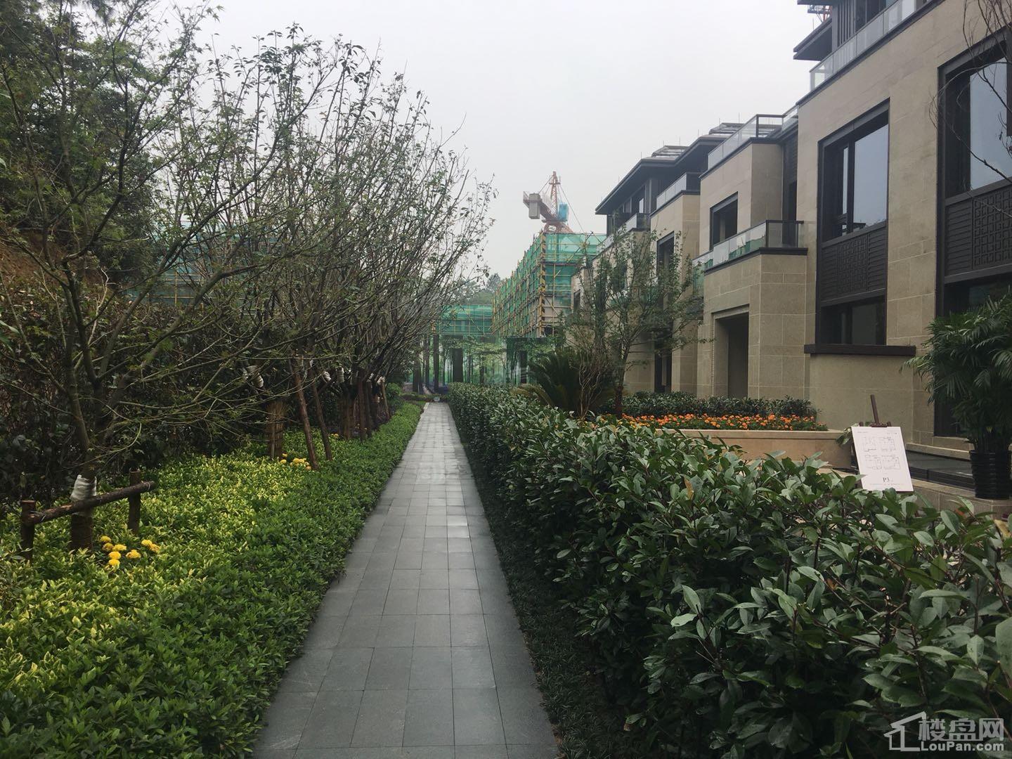 祥生·东方樾云山实景图