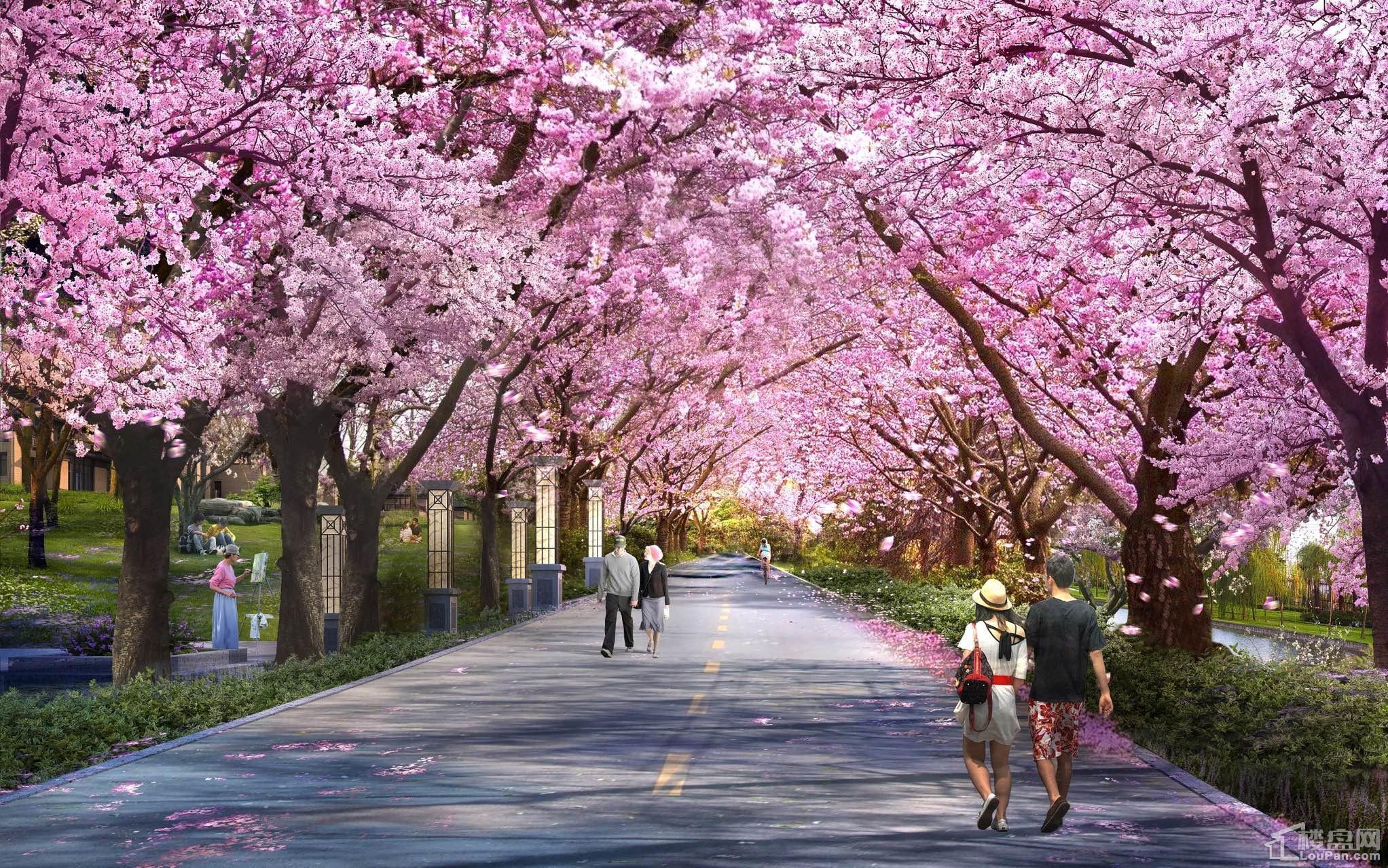 天熙·紫云东郡效果图