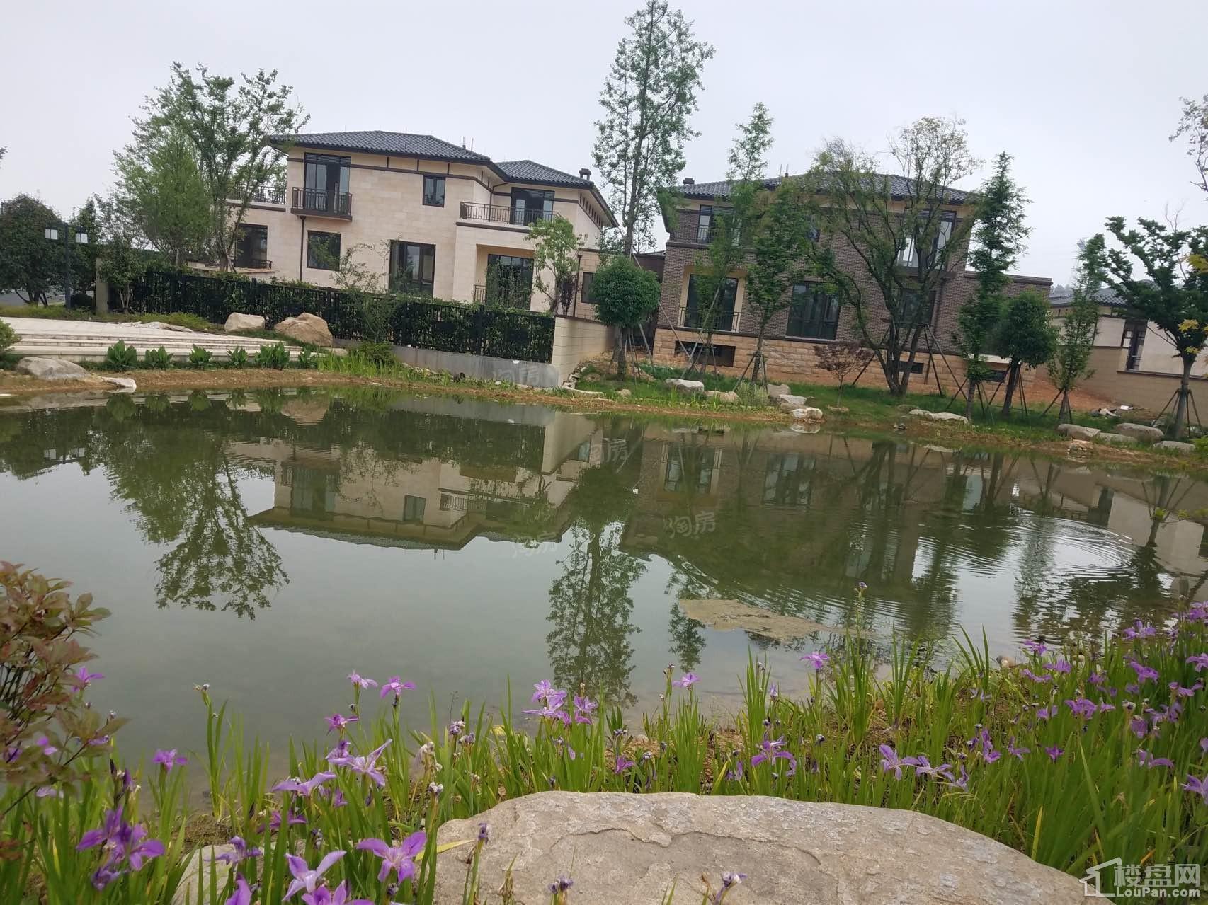 天熙·紫云东郡实景图