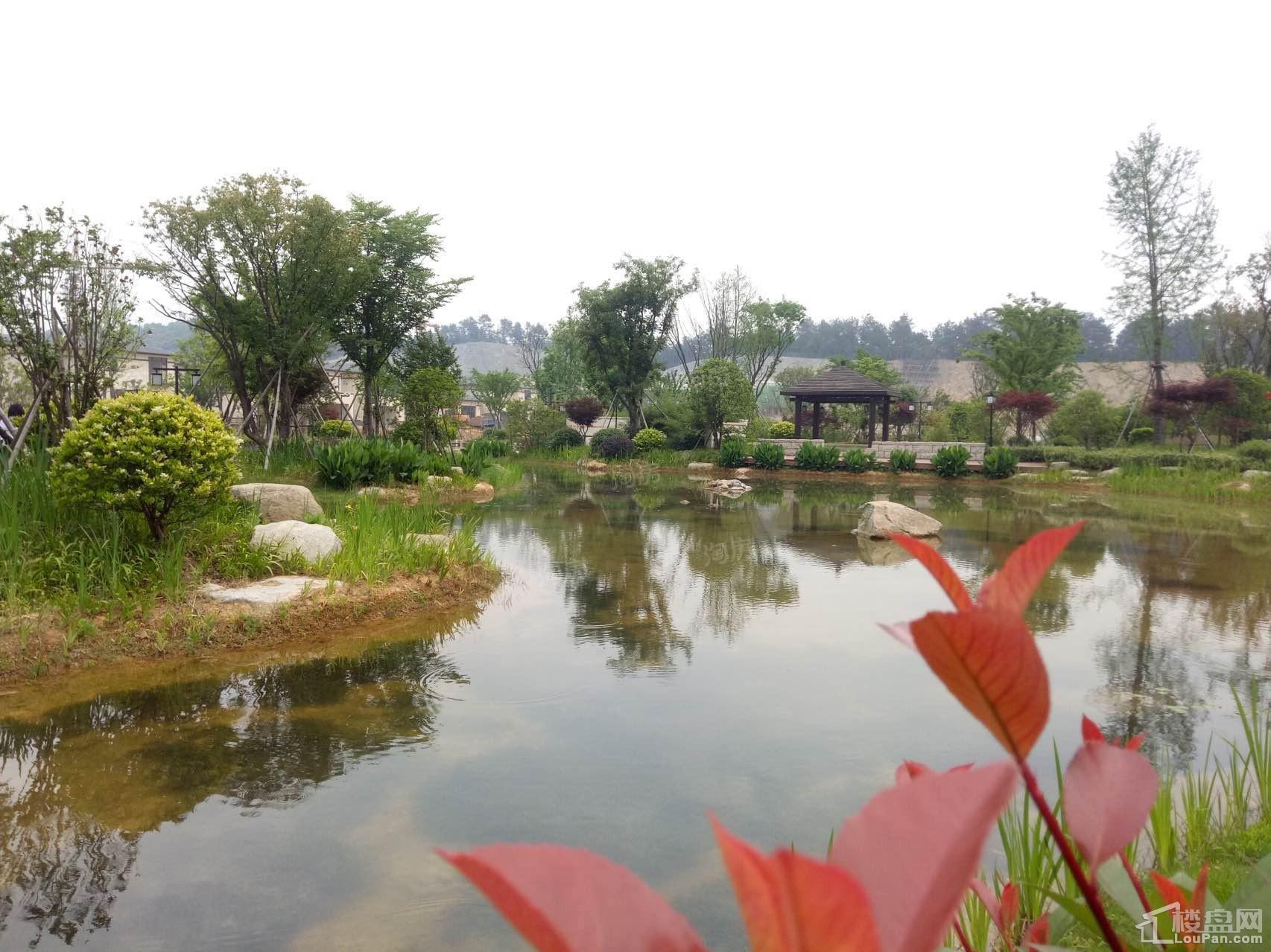 天熙·紫云东郡实景图