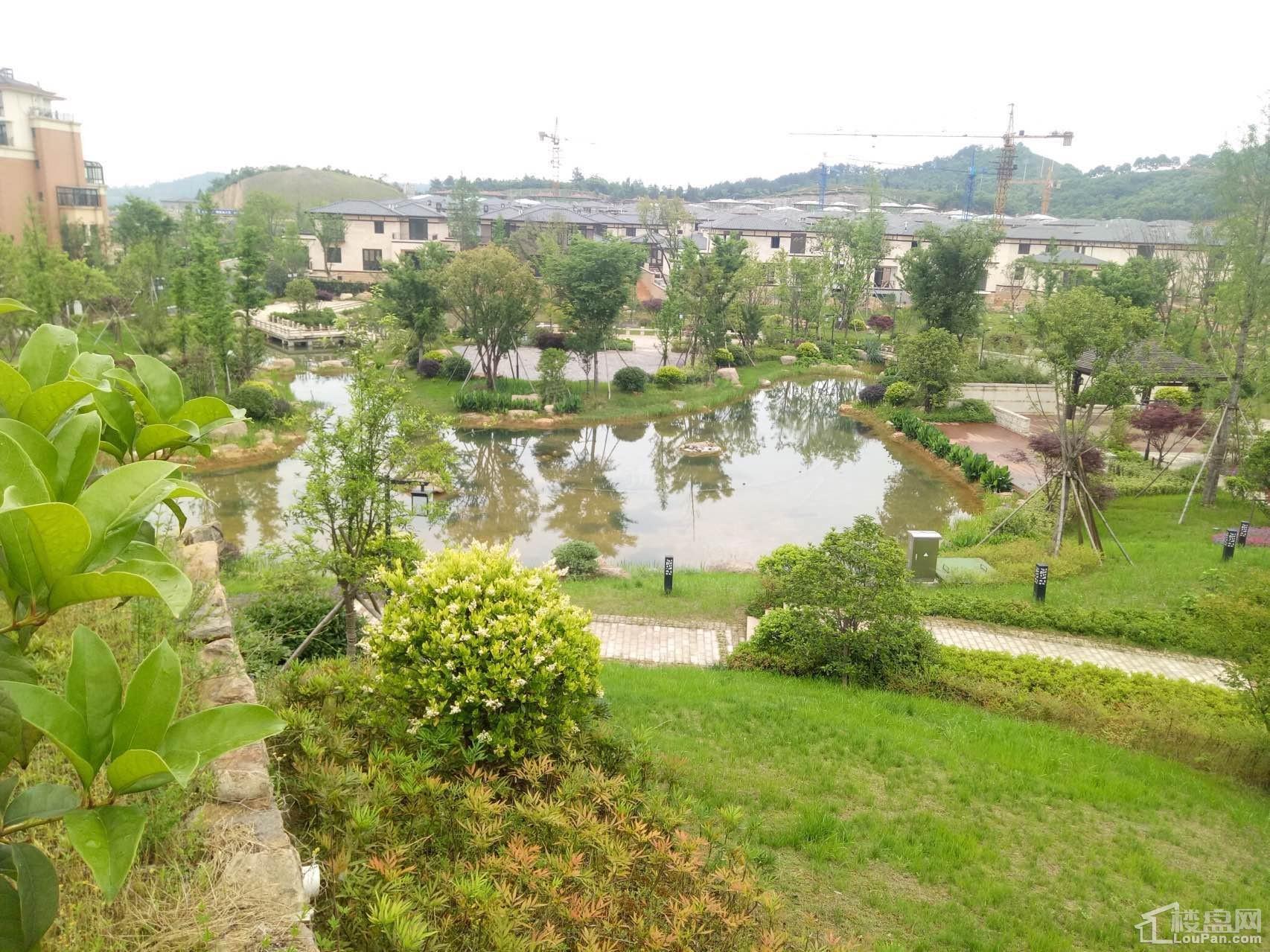 天熙·紫云东郡实景图