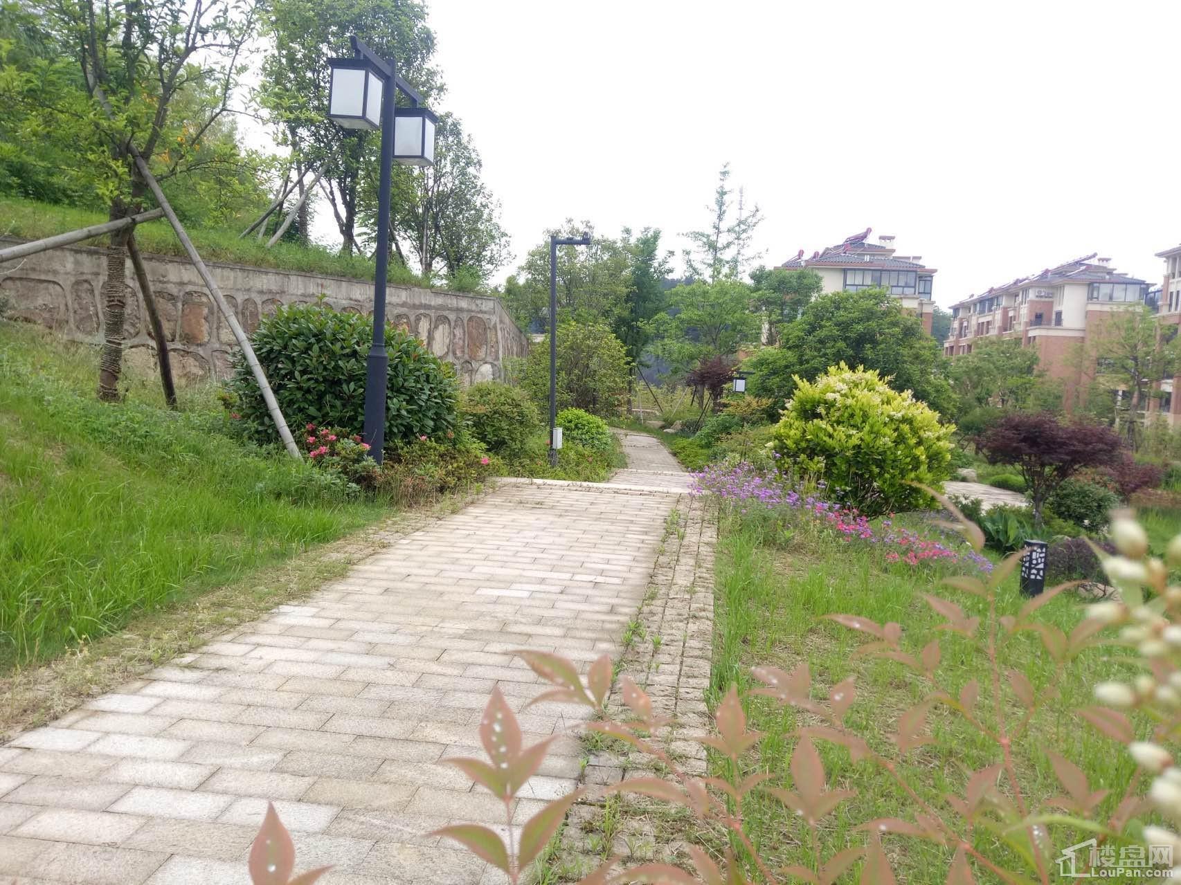 天熙·紫云东郡实景图