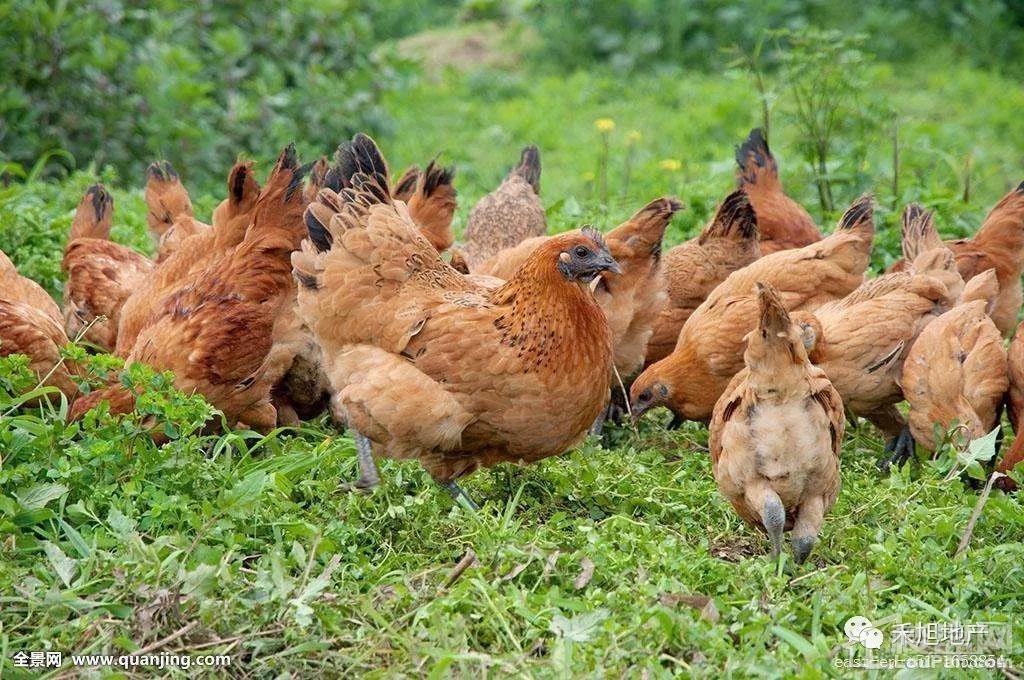 禾旭玲珑湾-台湾晓墅实景图