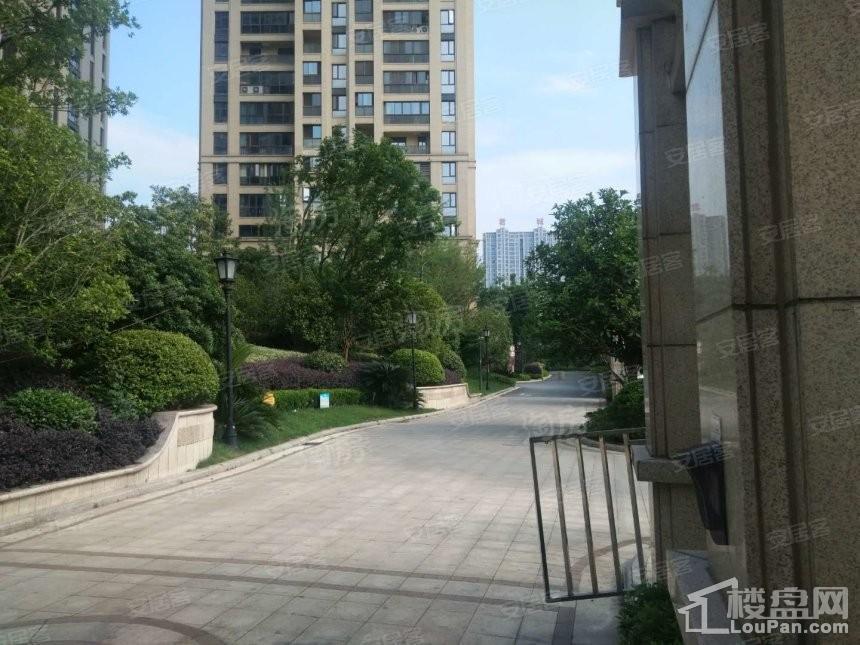 浦阳江一号实景图