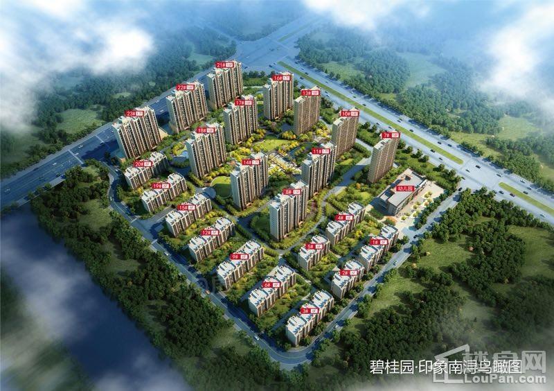 效果图
