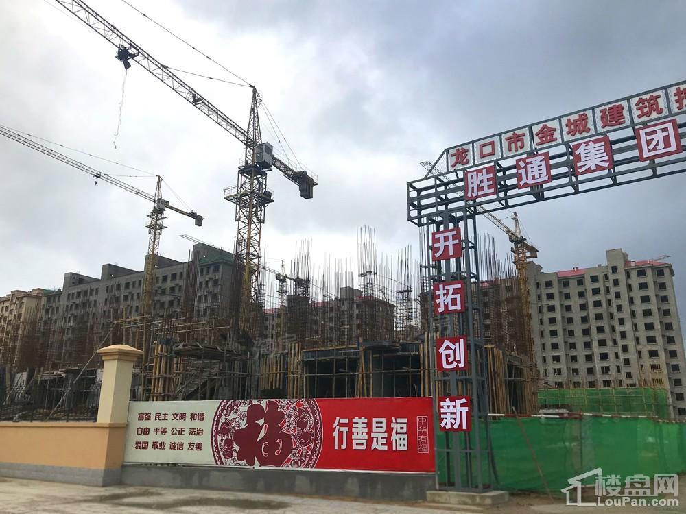 海岸华府实景图
