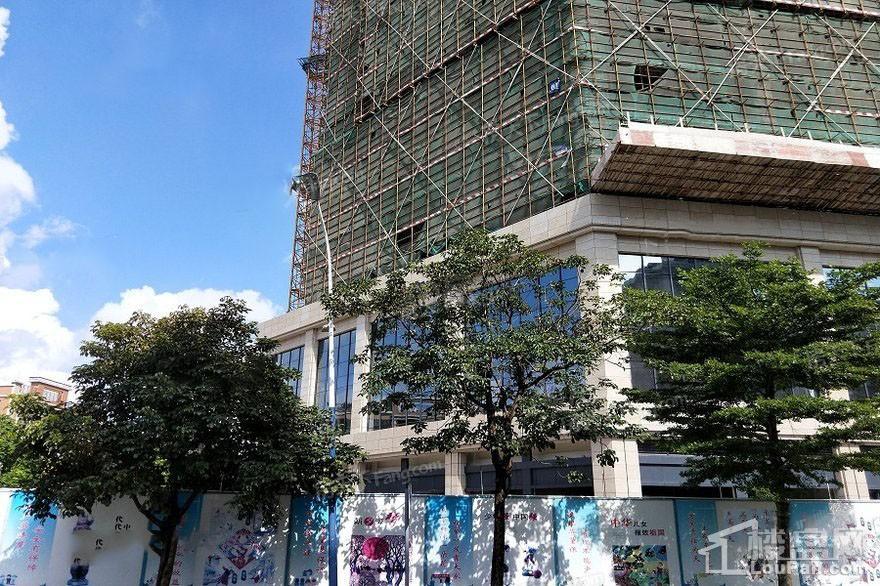 枫逸国际实景图