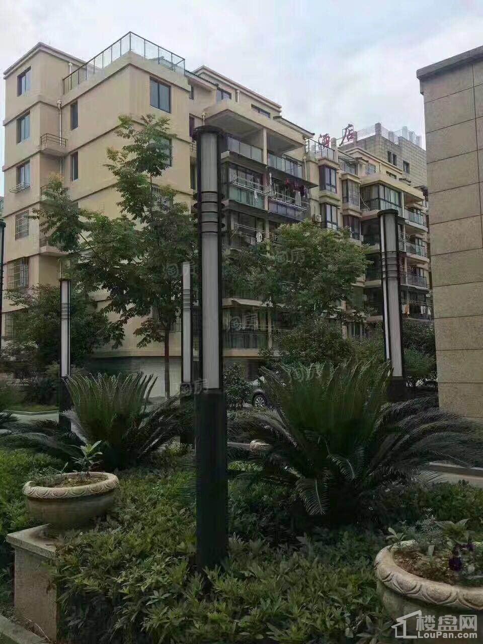 怡景园实景图