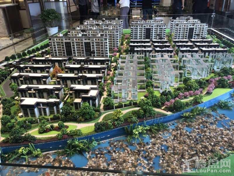 天际玖墅实景图