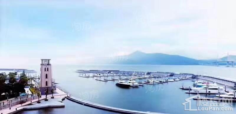 合正东部湾实景图