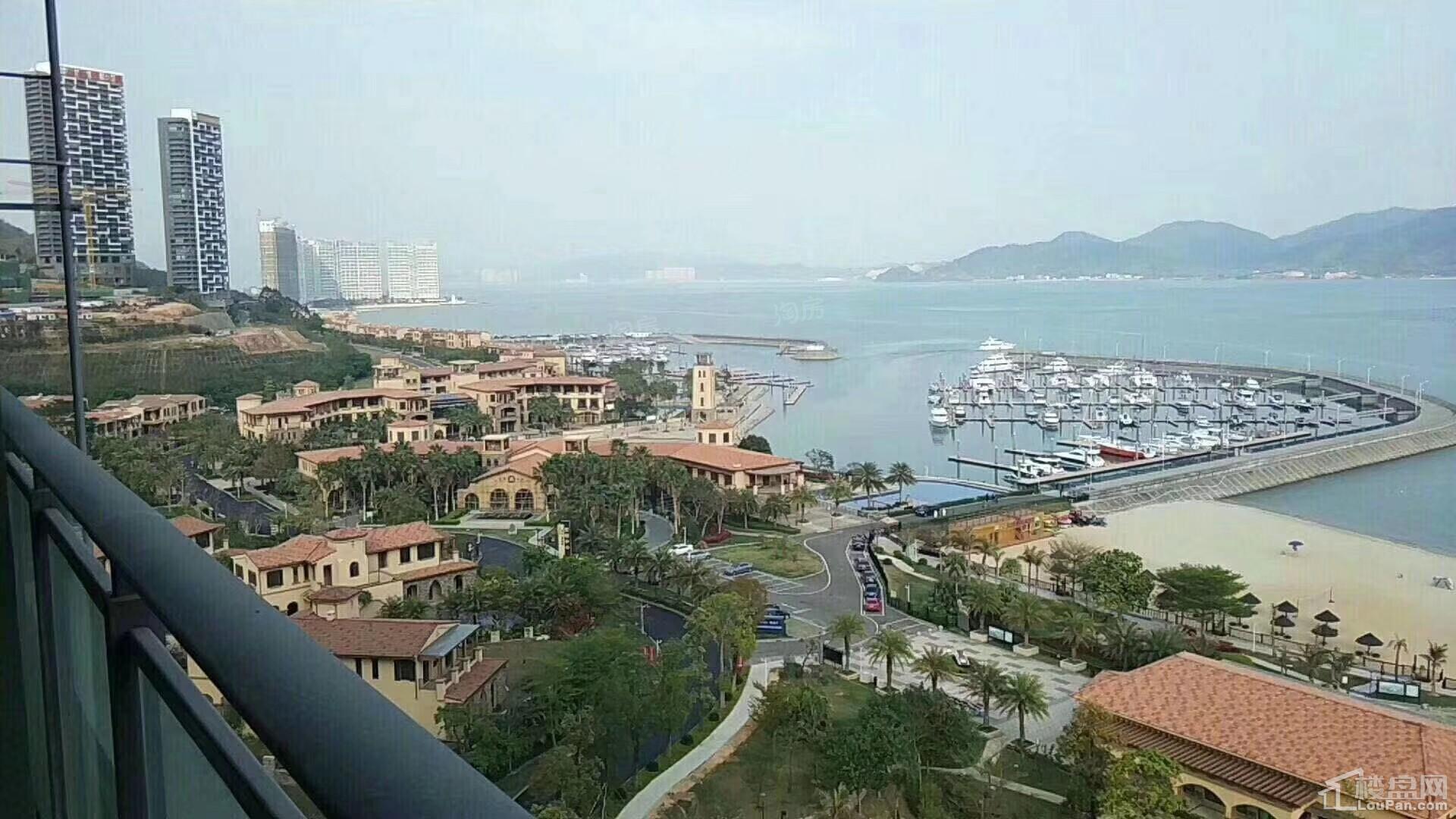 合正东部湾实景图